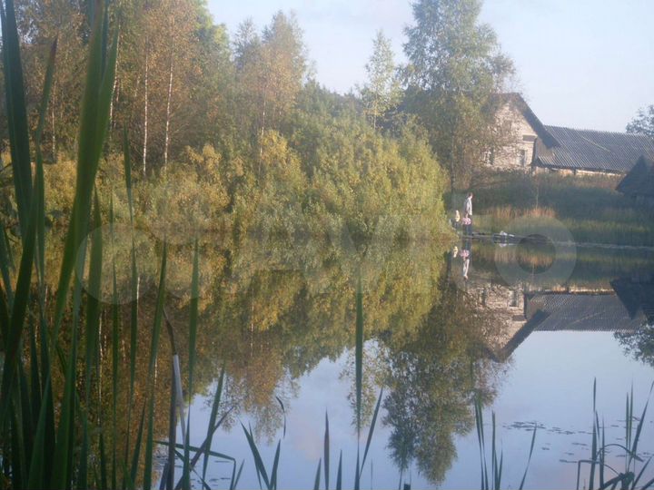 Участок 30 сот. (ИЖС)