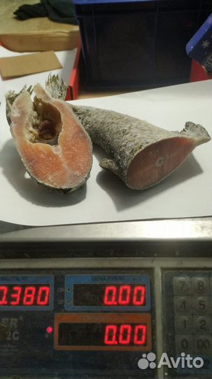 Суповой набор из форели