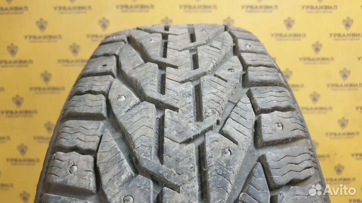 Tigar Ice 205/55 R16 94T