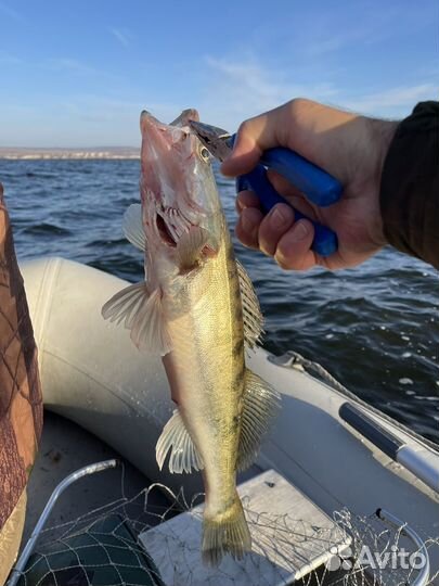 Лодка silverado