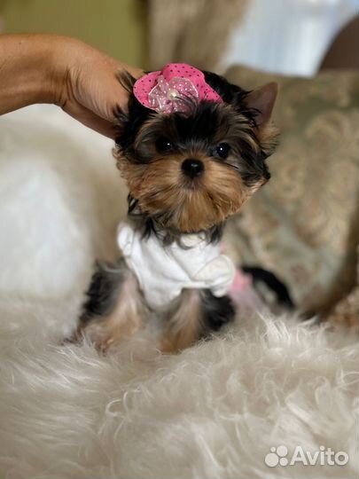 Кукольная мини девочка