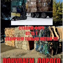 Прием картона макулатуры, Дербент