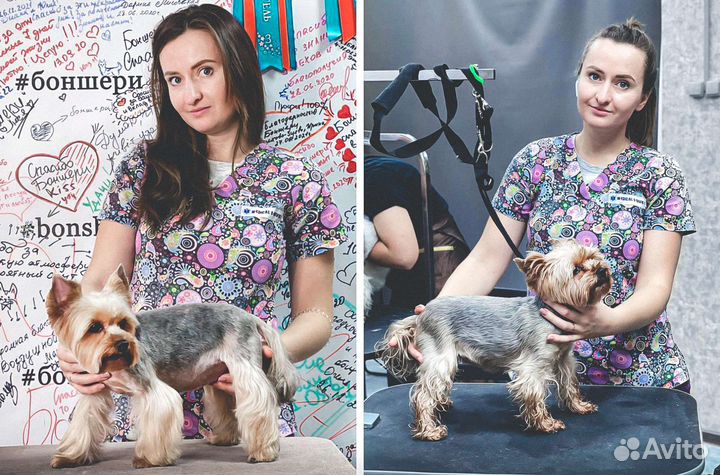 Груминг собак с выездом на дом