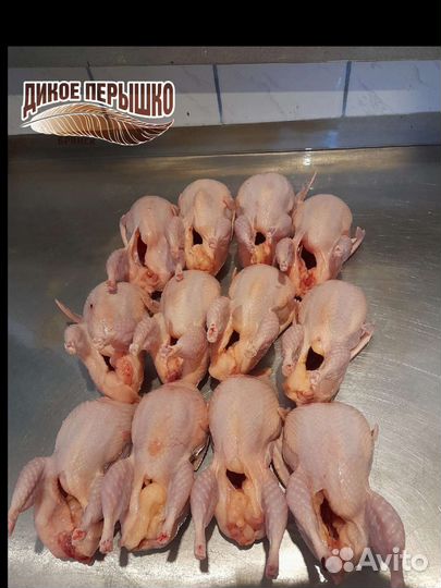 Мясо перепелов