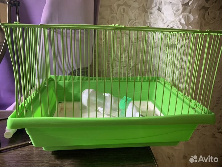 Товары для грызунов