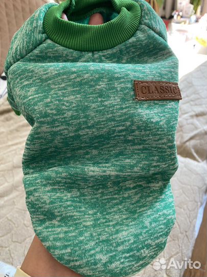 Одежда для животных