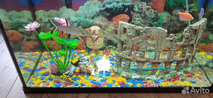 Аквариум на 90 литров. Акваэль