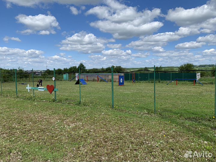 Передержка собак зоогостиница