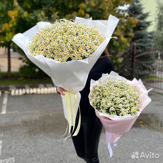 Букеты Солнечных Ромашек. Букет для Любимой