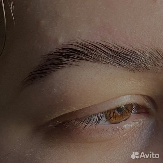 Мастер бровист