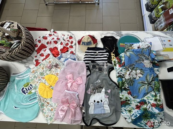 Одежда для животных, свитера для животных