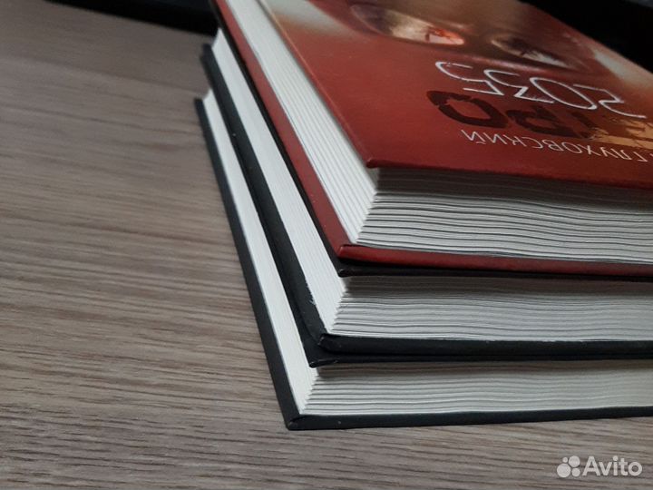 Серия метро 2033