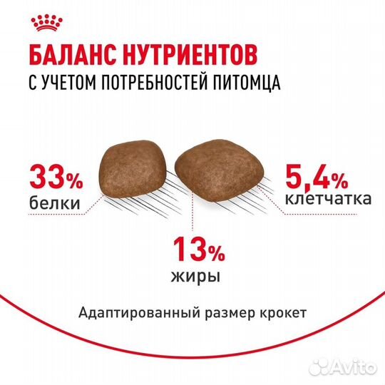 Корм Royal Canin сухой для взрослых кошек для подд