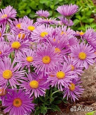 Осенний декор