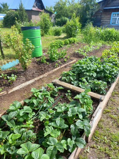 Дом 10 м² на участке 6 сот.