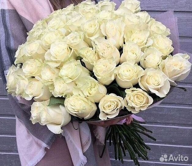 Высокие розы Гигантские розы Доставка цветов