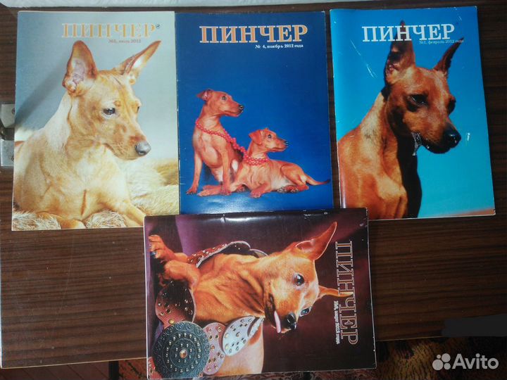 Книги про собак и кошек