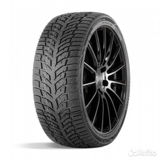 DoubleStar DW08 205/55 R16 91T