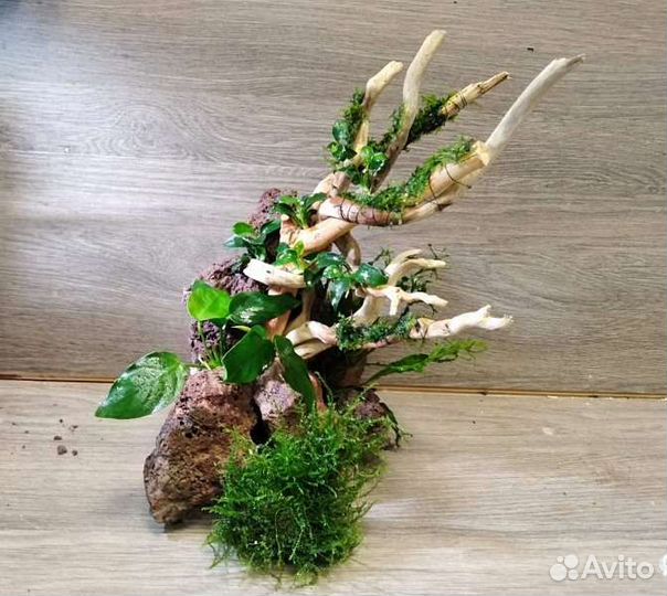Декор для аквариума