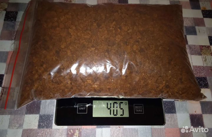 Чага березовая