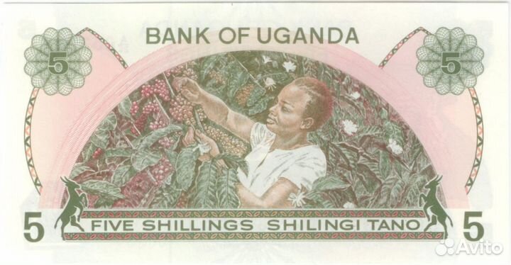 5 шиллингов (1982) года, Уганда