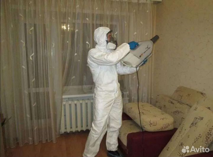 Уничтожение Тараканов Клопов Блох Ос Крыс