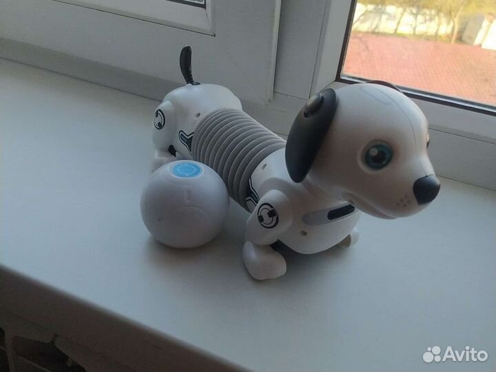 Собака робот silverlit дэкел джуниор