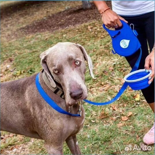 Поводок AR для собак с поилкой, фляга на 400 мл