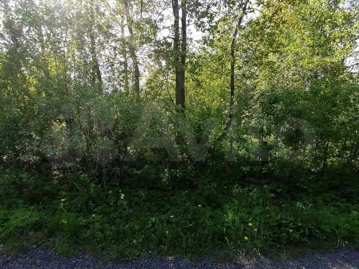 Участок 7,1 сот. (СНТ, ДНП)