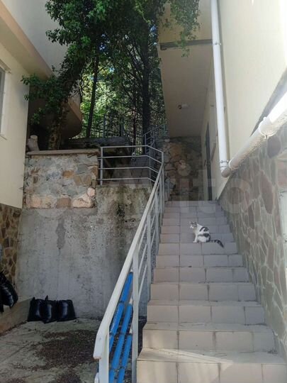 1-к. квартира, 48 м², 2/5 эт.