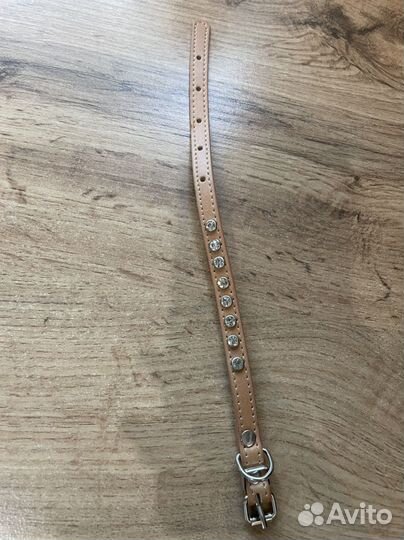 Шлейка для собаки и ошейник