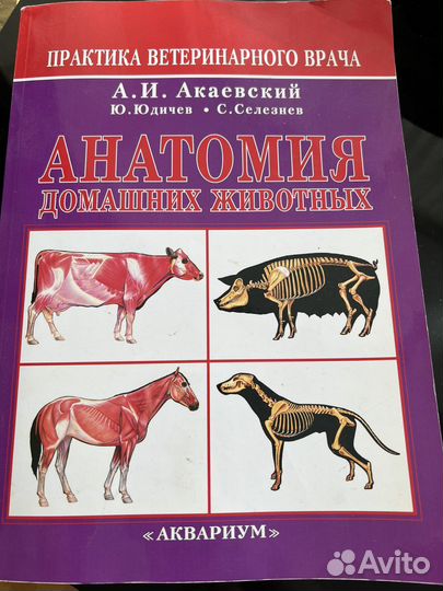 Книга анатомия домашних животных
