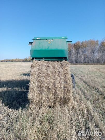 Сено / Солома