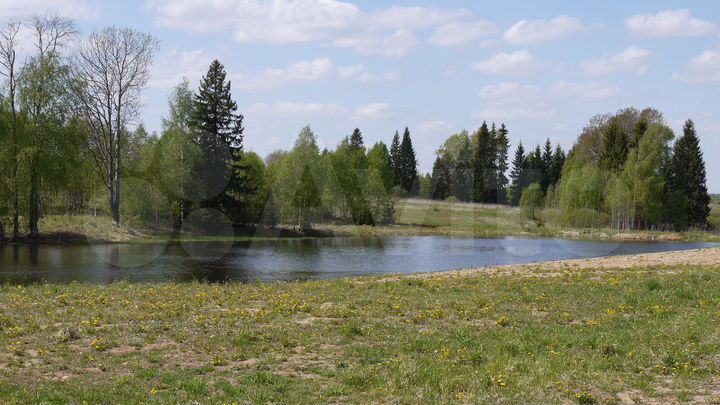 Участок 25 сот. (СНТ, ДНП)