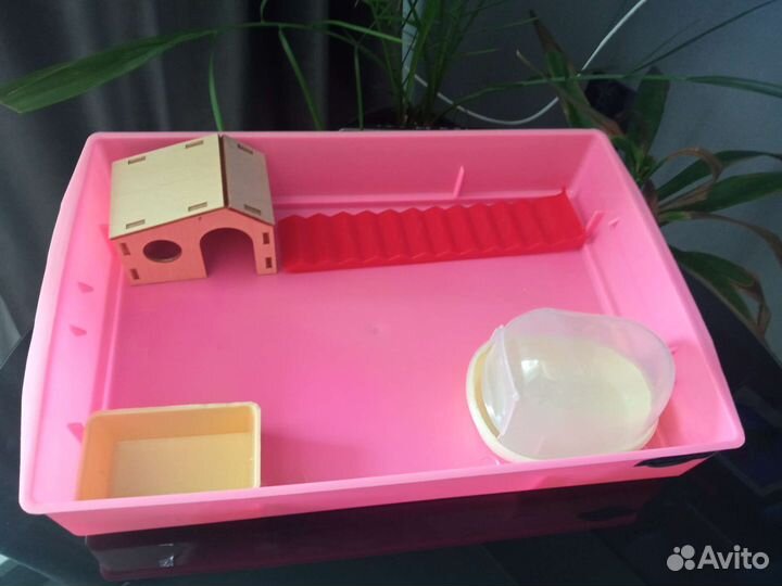 Клетка для джунгарского хомяка