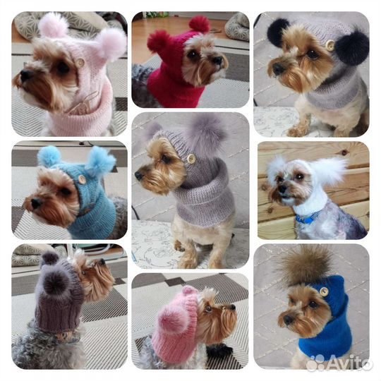 Шапочки для небольших собак