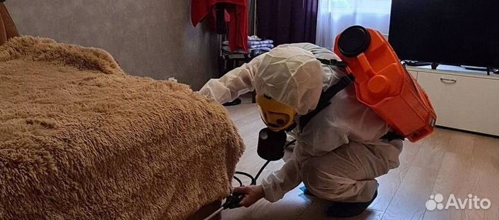 Средство для Уничтожения клопов тараканов плесени клещей