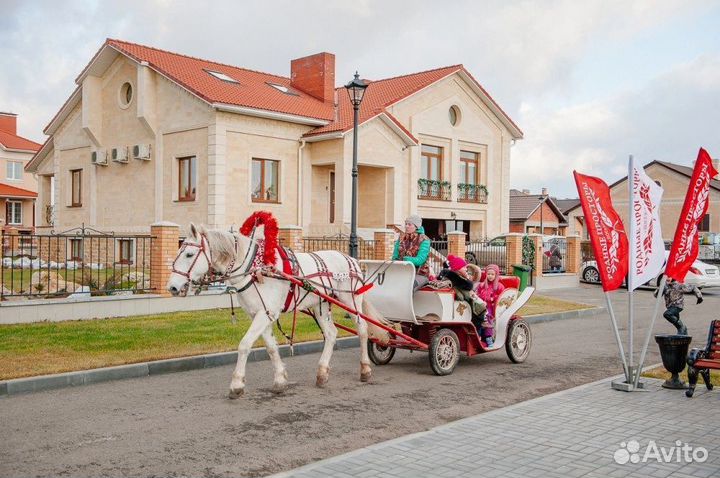 Катание на лошадках