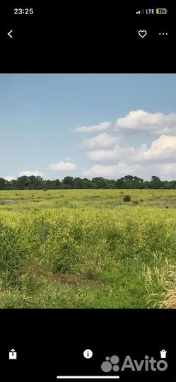 Донник с разнотравьем