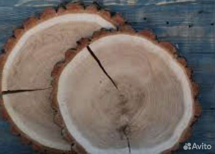 Спилы дерева