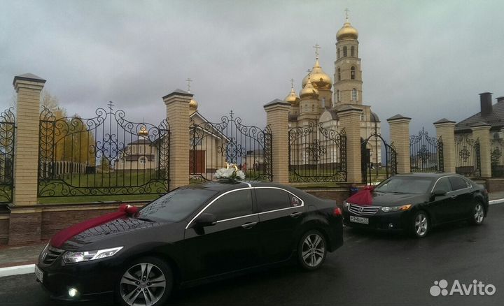 Свадебных украшений, кольца, ленты