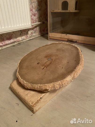 Беговой диск для шиншилл