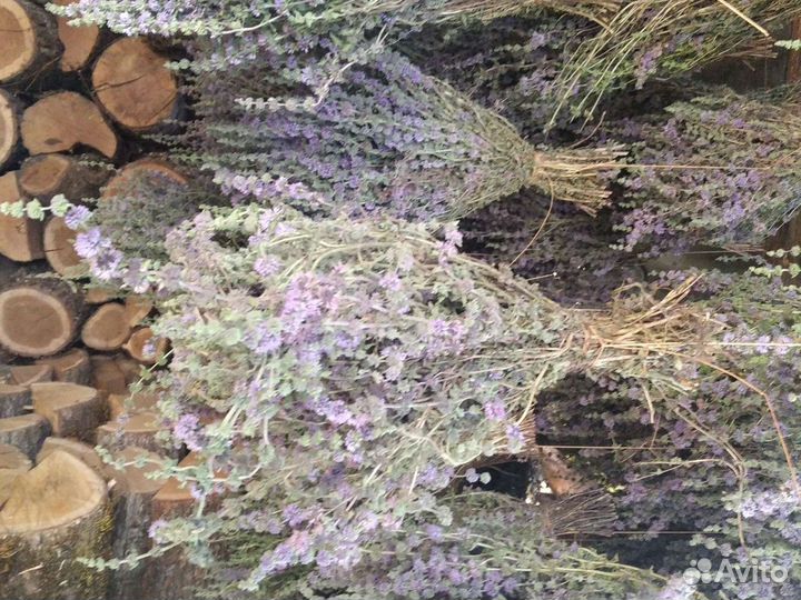 Мята, донник, чебрец, шалфей, зверобой