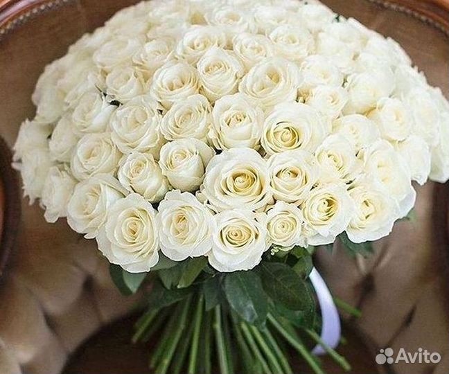 101 роза цветы букеты доставка 25 51 101 роза