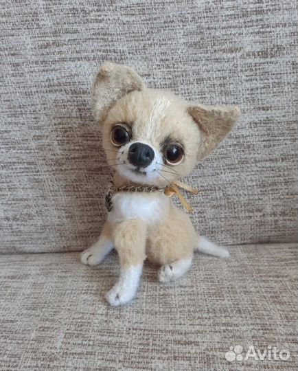 Чихуахуа.Интерьерная игрушка ручной работы