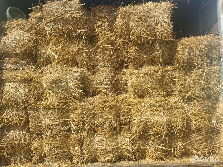 Солома в тюках