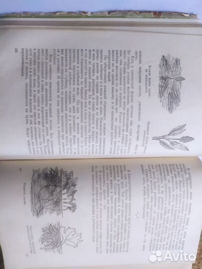 Плавильщиков Н.Н. Юным любителям природы