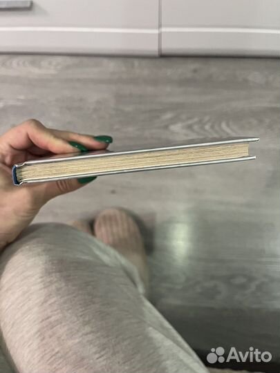 Чайка Джонатан Ливингстон