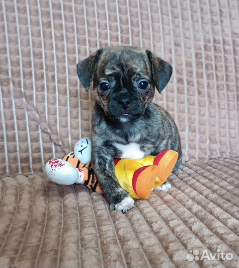 Милый малыш