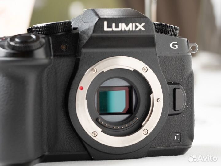 Panasonic lumix g85(80)